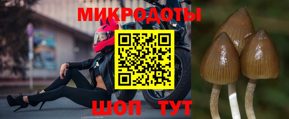 Галлюциногенные грибы MAGIC MUSHROOMS Трёхгорный